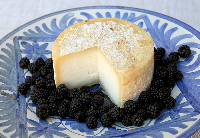 Queso de oveja con moras